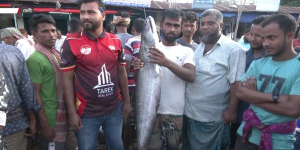 সরবরাহ কমায় ফেনীতে চড়া দেশি মাছের দাম
